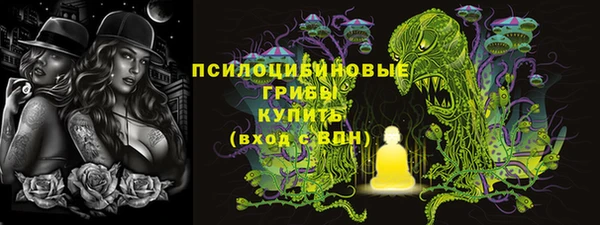 PSILOCYBIN Алексин