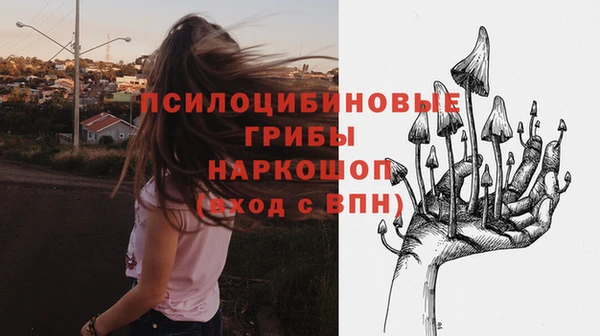 PSILOCYBIN Алексин