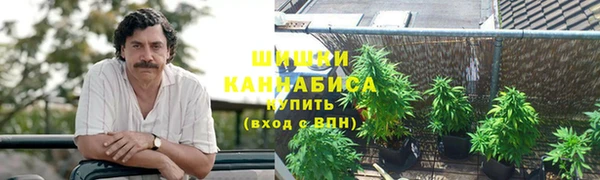PSILOCYBIN Алексин