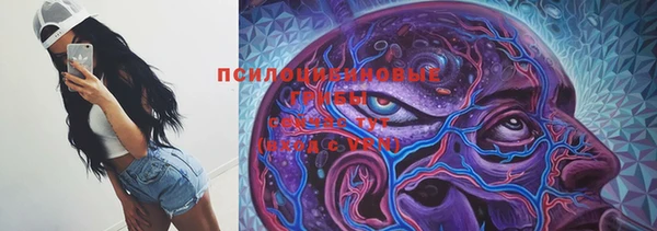 Альфа ПВП Алзамай